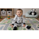 Ensemble evolutif panda